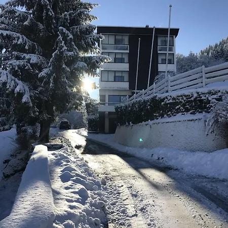 Le Panorama Le Mont-Dore