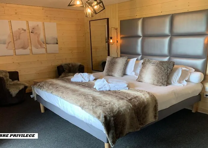 Отель The Originals Boutique Le Panorama Dore 3*